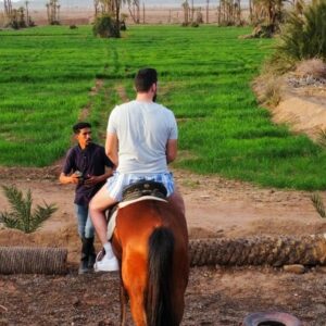 Balade à cheval à la Palmeraie