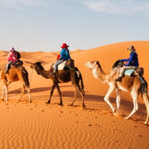 Expérience de 5 jours dans le désert du Maroc